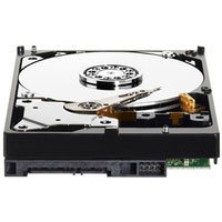 Western digital Caviar Green 320GB (WD3200AZRX)